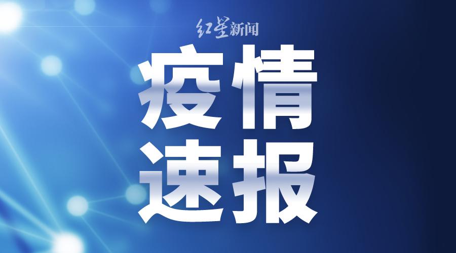 信丰最新新闻,信丰最新新闻报道，活力四溢的城市脉动，信丰最新新闻报道，城市活力四溢的脉动