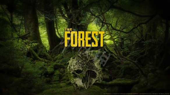 forest最新版,森林之心的最新篇章，探索自然的奥秘与魅力，森林之心最新版，探索自然奥秘与魅力的新篇章