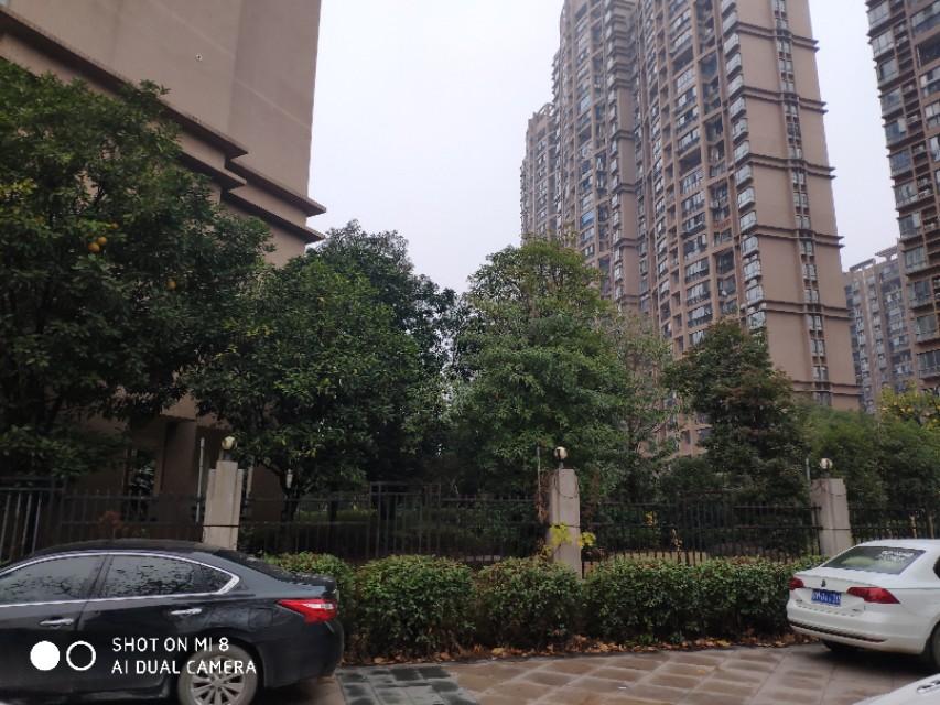 医疗器械 第293页