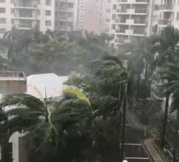 深圳最新台风网,深圳最新台风网,关注台风动态,共筑安全防线,深圳台风最新动态关注,共筑安全防线,台风网实时更新