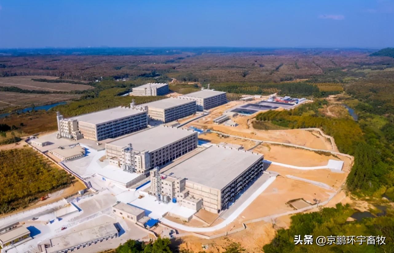 儋州楼房最新动态,儋州楼房最新动态，城市崛起中的居住新篇章，儋州楼房最新动态，城市崛起中的居住新篇章