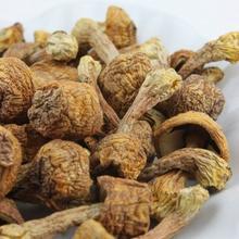 巴西菇最新价格,巴西菇最新价格,探寻市场变化背后的故事,探寻巴西菇最新价格与市场变化背后的故事