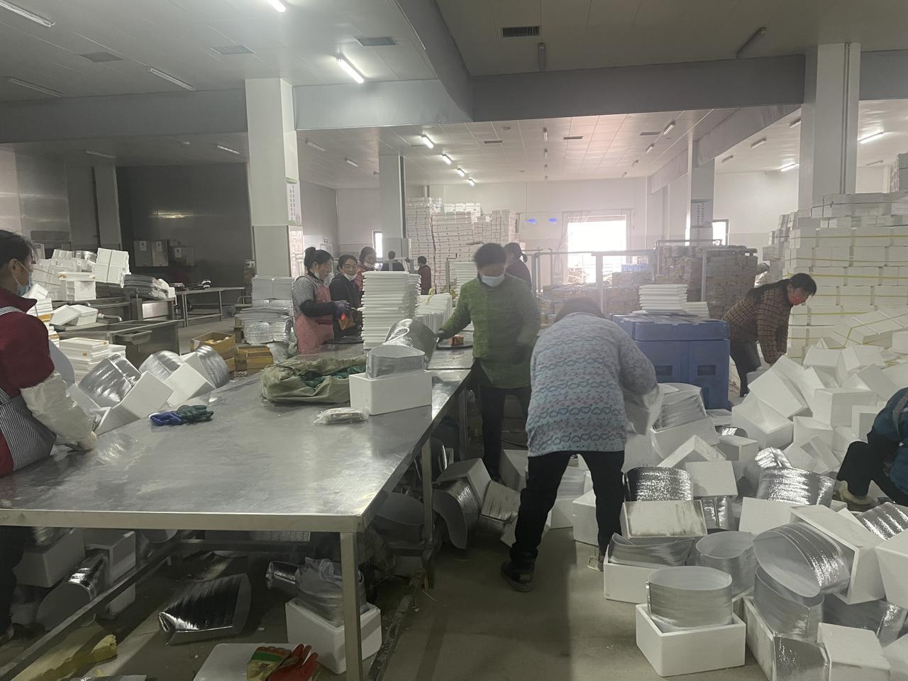 烟台最新招工,烟台最新招工热潮，探寻职业新机遇，共筑美好未来，烟台最新招工热潮，探寻职业新机遇，共筑美好未来