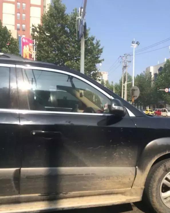 沂南论坛最新招聘信息,沂南论坛最新招聘信息引领你走向职业新高度,沂南论坛最新招聘信息,引领你走向职业新高度的大门已开启