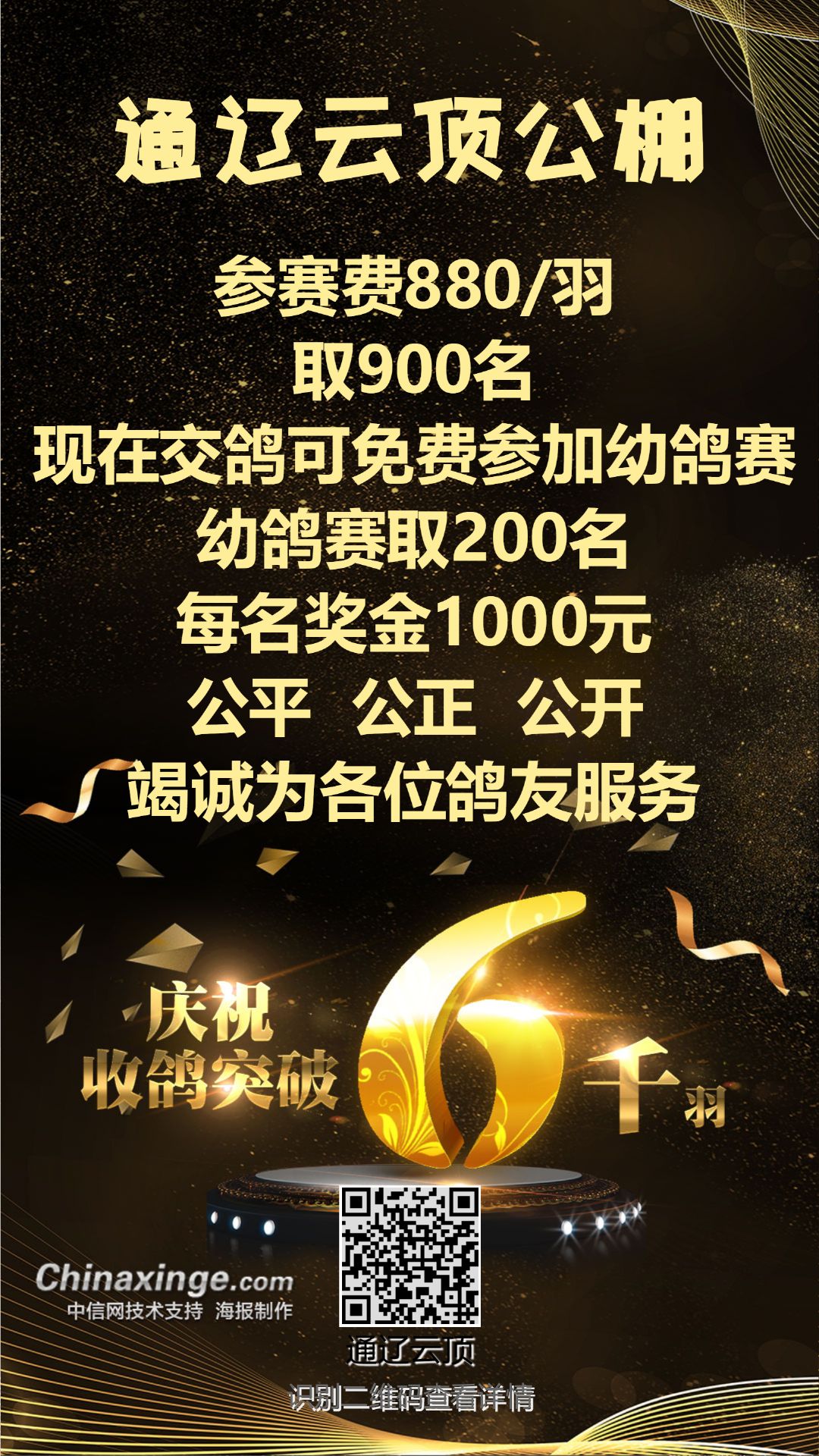 通辽信鸽协会最新公告,通辽信鸽协会最新公告，翱翔的信鸽，引领未来的希望，通辽信鸽协会最新公告，翱翔的信鸽，引领鸽友的希望之路