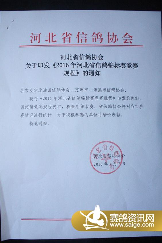 赵县信鸽协会最新公告,赵县信鸽协会最新公告,展翅翱翔的新篇章,赵县信鸽协会最新公告,展翅翱翔,开启新篇章