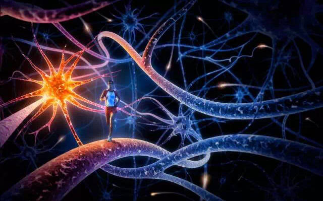 运动神经元病最新治疗方案,运动神经元病最新治疗方案,曙光初现的希望之源,运动神经元病最新治疗方案,曙光初现的希望之源