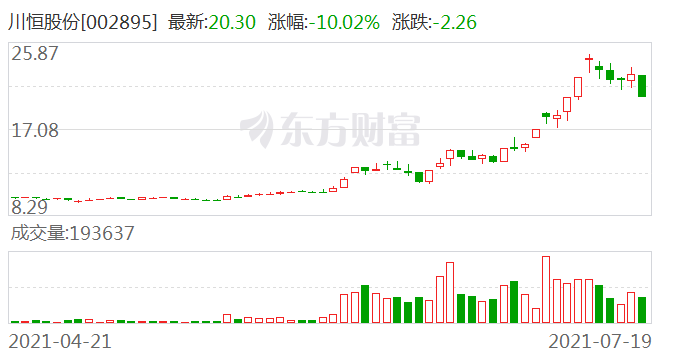 川恒股份最新消息,川恒股份最新动态，创新突破与市场展望，川恒股份创新突破与市场展望的最新动态及消息