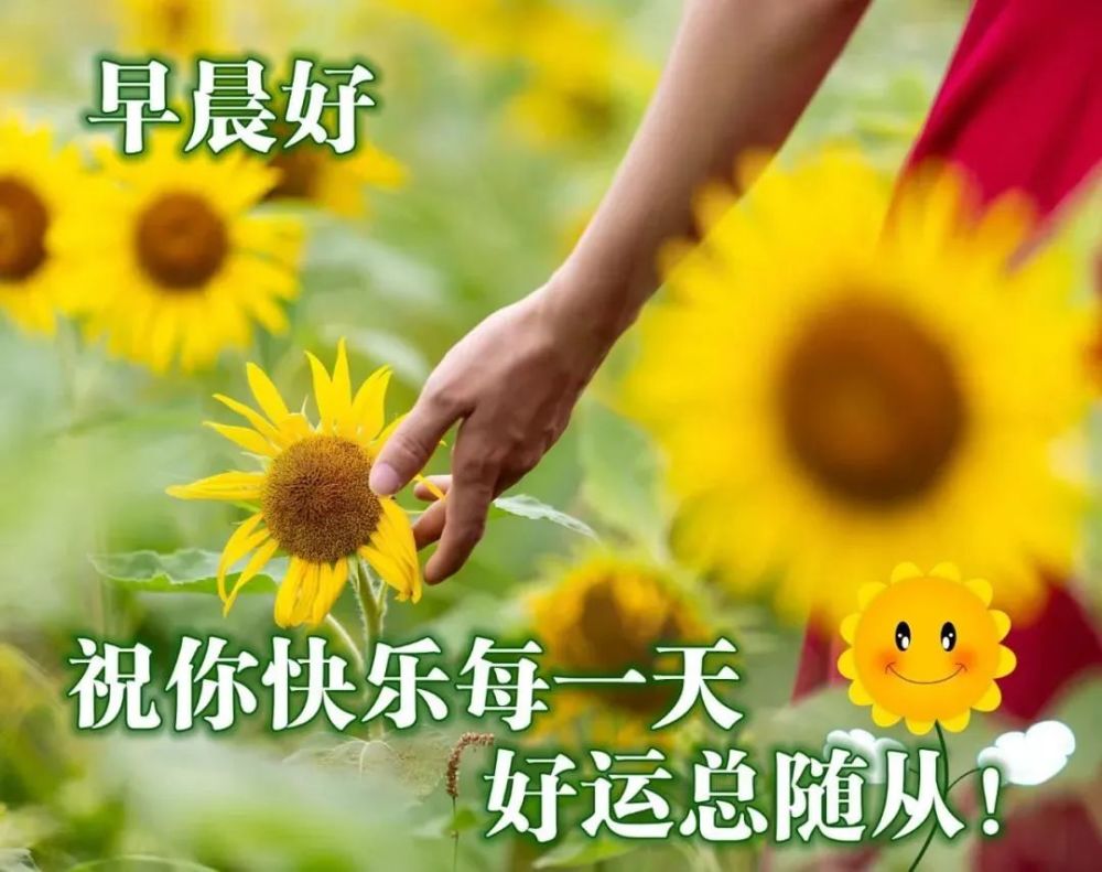 最新早安图片,最新早安图片，唤醒美好一天的温暖力量，最新早安图片，唤醒美好一天的温暖力量与正能量之源