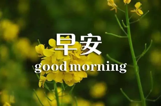 最新早安图片,最新早安图片,唤醒美好一天的温暖力量,最新早安图片,唤醒美好一天的温暖力量与正能量之源