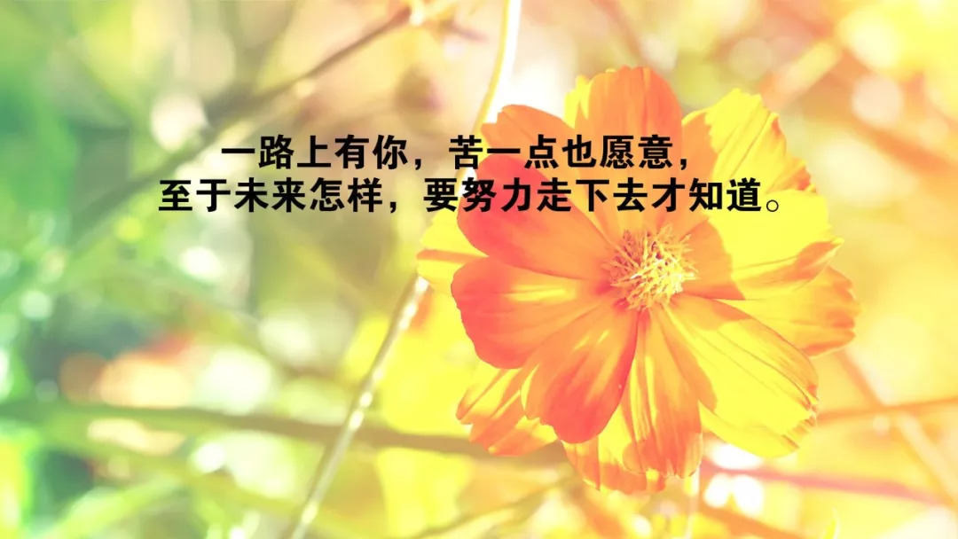 最新早安图片,最新早安图片,唤醒美好一天的温暖力量,最新早安图片,唤醒美好一天的温暖力量与正能量之源
