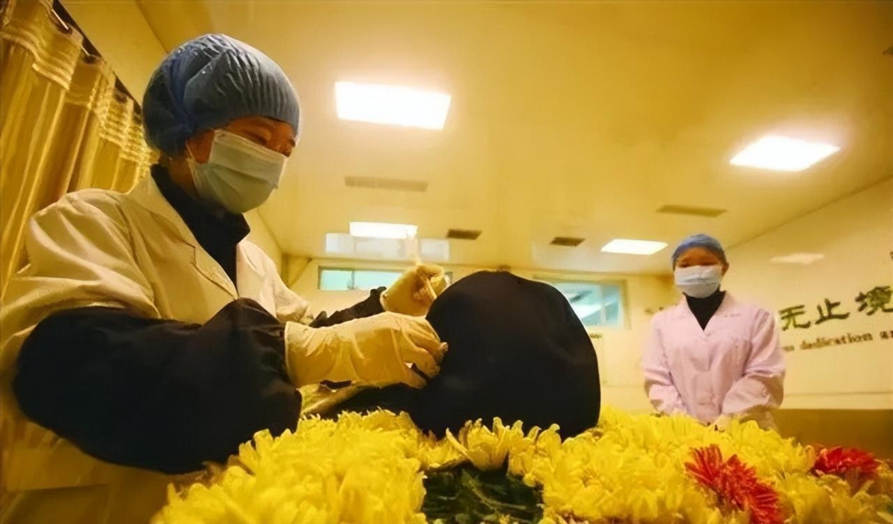 江苏车祸最新消息,江苏车祸最新消息,关注悲剧背后的故事与反思,江苏车祸最新消息,关注悲剧背后的故事与反思,引人深思的事故进展