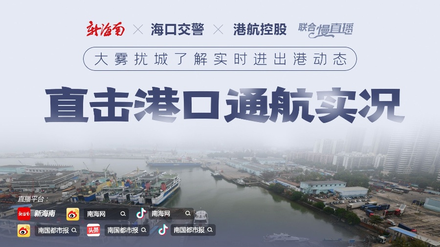 海口最新消息,海口最新消息，活力四溢的热带滨海城市焕发新光彩，海口最新动态，热带滨海明珠焕发新活力