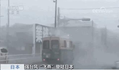 日本台风最新消息,日本台风最新消息，自然的力量与人类的关切，日本台风最新动态，自然力量与人类关切