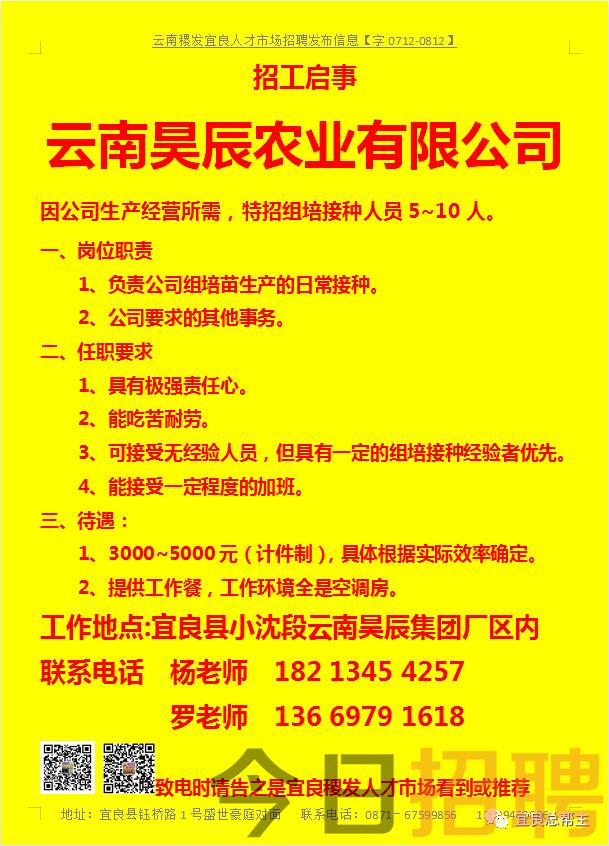 陆良招聘网最新招聘,陆良招聘网最新招聘，探寻职业发展的无限可能