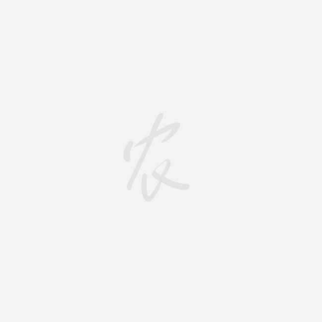 花生信息网花生最新价格,花生信息网，探寻花生最新价格的奥秘，探寻花生最新价格的奥秘，花生信息网实时更新花生价格资讯