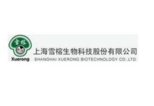 雪榕生物最新消息,雪蓉生物最新消息，引领生物科技新纪元，雪榕生物引领生物科技新纪元，最新消息动态