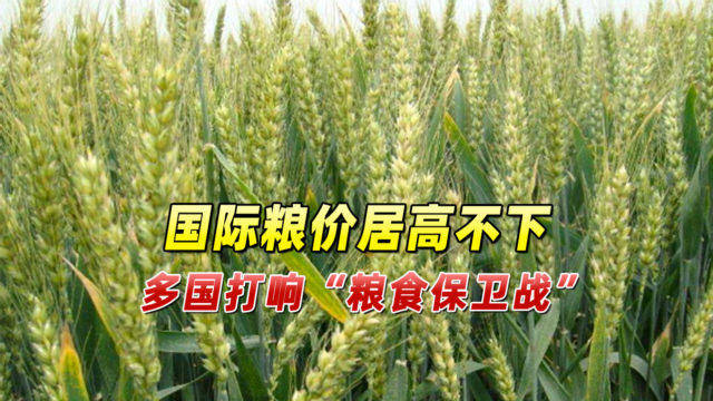口腔卫生用品 第217页
