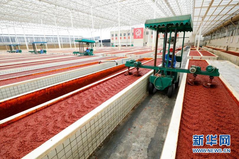 郫县确诊病例最新,郫县疫情防控最新动态，确诊病例情况与公众应对策略，郫县疫情最新动态，确诊病例情况及公众应对策略