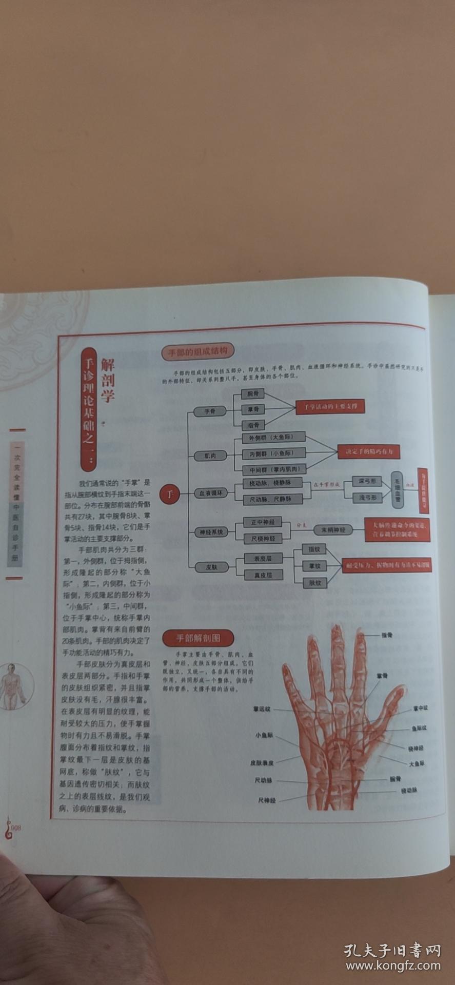 最新首诊全解,最新首诊全解，探索医疗的首道关卡，最新首诊全解，探索医疗的首道关卡的重要性