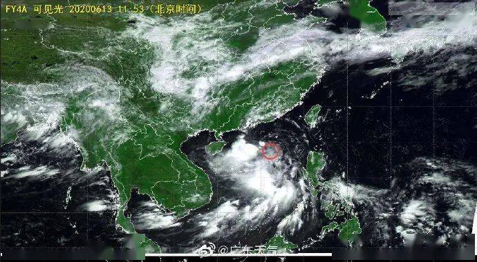 广东鹦鹉台风最新报道,广东鹦鹉台风最新报道，风雨中的守望与力量，广东鹦鹉台风最新报道，风雨中的守望与力量的坚韧展现