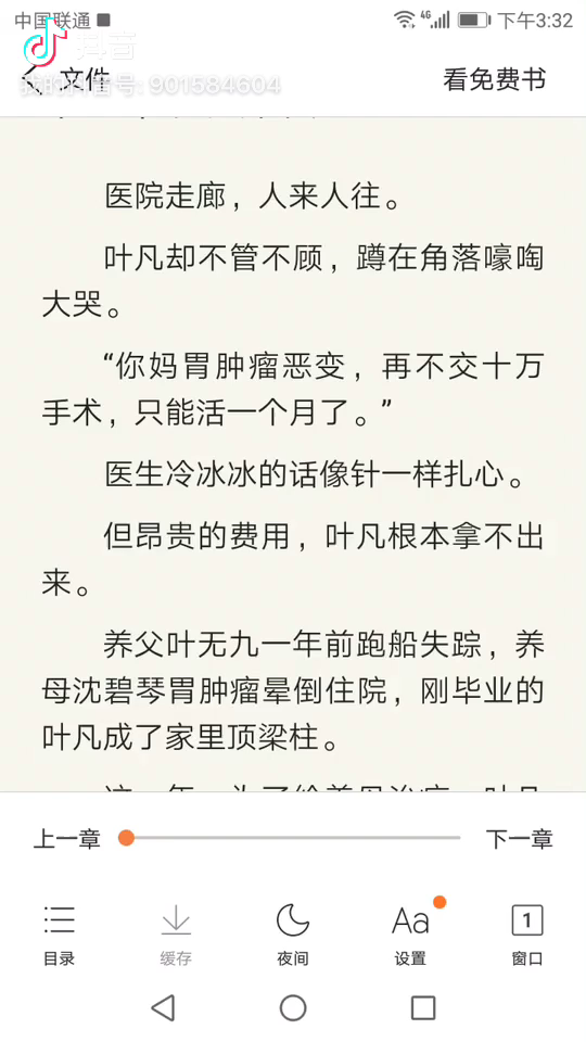 叶凡医婿最新,叶凡医婿最新，医术与情感的交融之旅，叶凡医婿，医术与情感的最新交融之旅