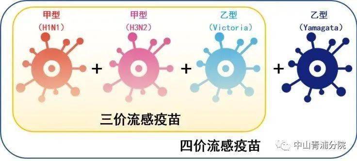 流感疫苗最新推荐,流感疫苗最新推荐，保护您和家人的健康之选，流感疫苗最新推荐，守护您和家人健康的首选疫苗