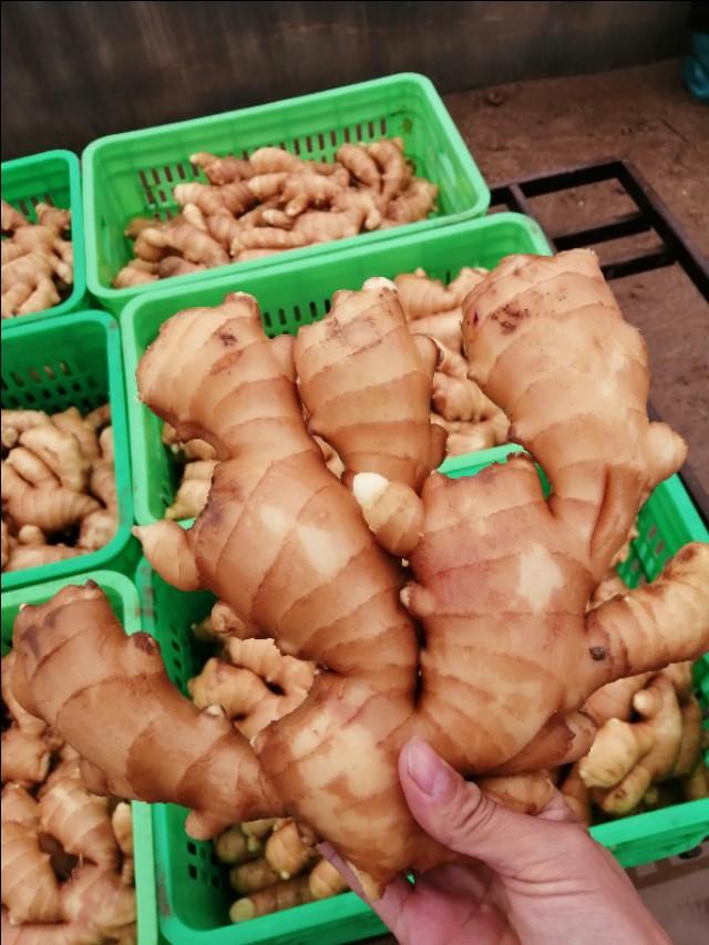 第650页