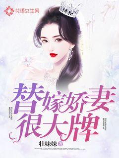娇妻很大牌最新,娇妻很大牌，最新都市情感的细腻描绘，娇妻很大牌，最新都市情感的细腻展现