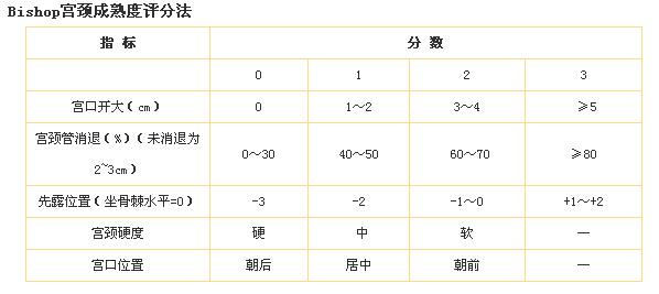 最新宫颈评分标准,最新宫颈评分标准，了解并关注女性健康的新里程碑，最新宫颈评分标准，关注女性健康的新里程碑介绍