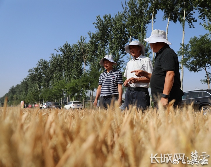“高好鲁最新网站”,高好鲁最新网站，探索数字时代的全新体验，高好鲁最新网站，数字时代的全新体验探索