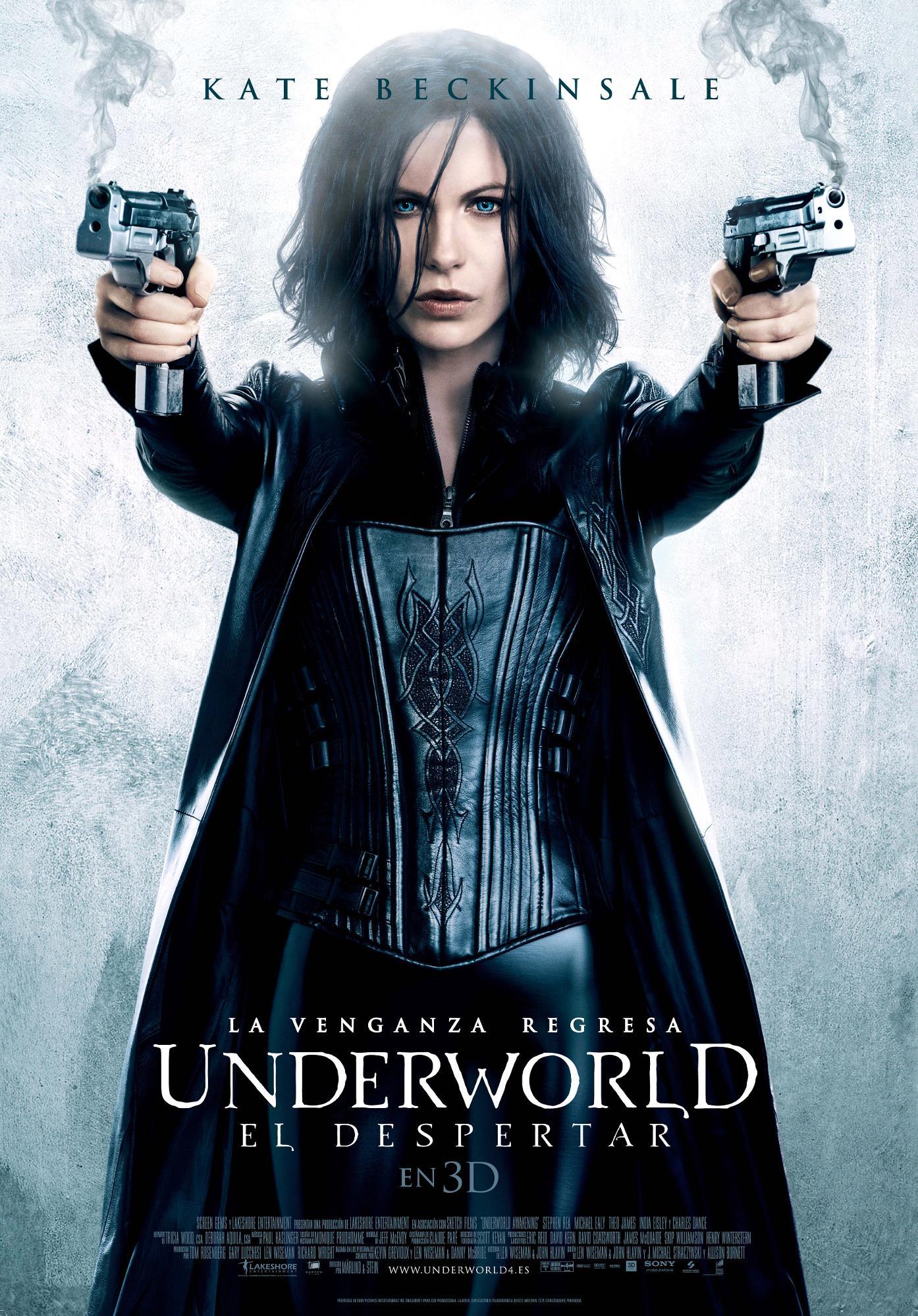 黑夜传说阿米莉亚演员,黑夜传说中的阿米莉亚，演员的魅力与角色的传奇故事，阿米莉亚角色传奇与演员魅力，黑夜传说中的璀璨星辰