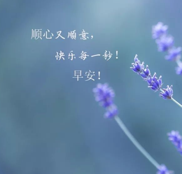 医疗器械 第132页