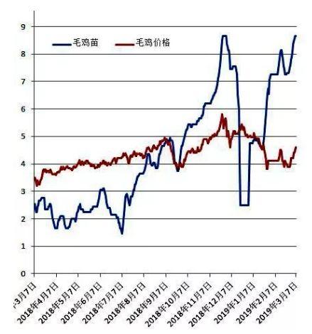 毛鸡价格行情走势分析,毛鸡价格行情走势分析，探寻市场波动背后的因素，毛鸡价格行情走势深度解析，探寻市场波动的背后因素