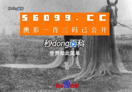 今晚上澳门必中一肖,解密安防视图_闪电版57.551
