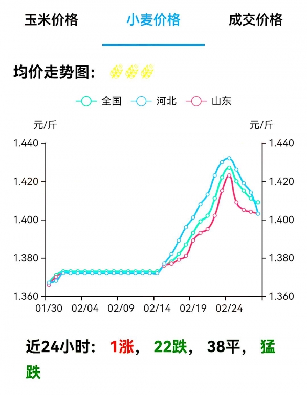 沧州小麦最新行情,沧州小麦最新行情，繁荣景象与农民的希望，沧州小麦行情，繁荣景象与农民的希望最新更新