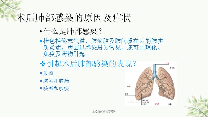 最新肺部感染,最新肺部感染，了解、防范与关爱，最新肺部感染，了解、防范与关爱的关键知识