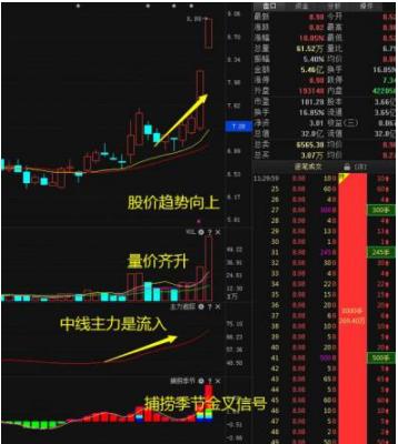 股票行情软件源代码,股票行情软件源代码，探索金融科技的无限可能，股票行情软件源代码揭秘，探索金融科技的无限潜力