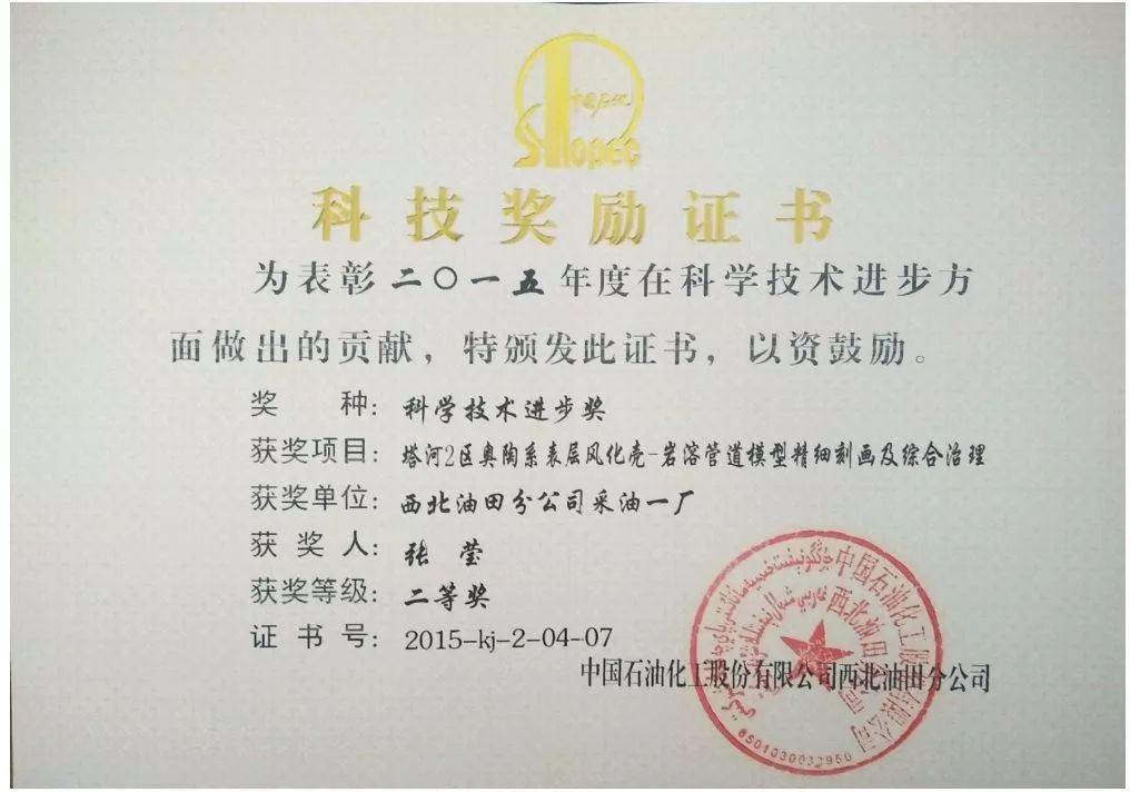 张莹嫇最新动态,张莹嫇的最新动态，探索音乐与艺术的无限可能，张莹嫇，探索音乐与艺术的无限新动态