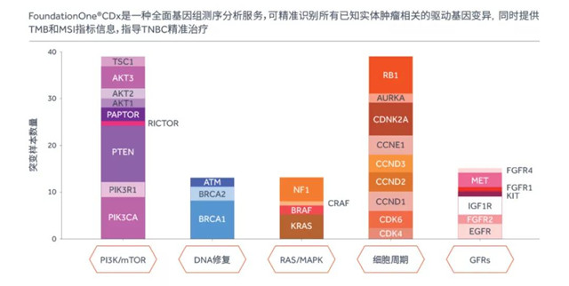 二代基因测序收费价格,二代基因测序收费价格，深入了解与探讨，二代基因测序收费价格详解，深入了解与探讨