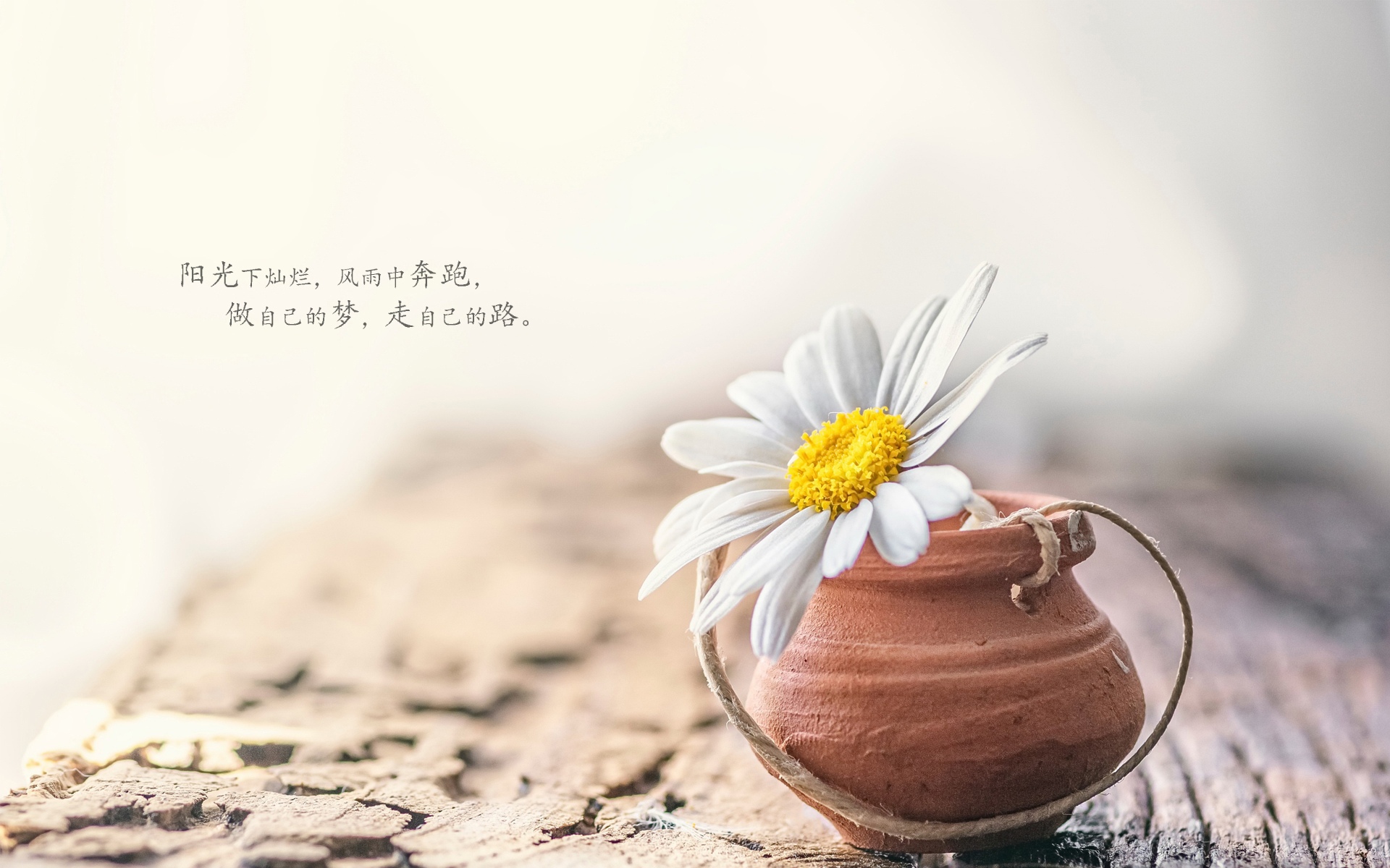 第419页