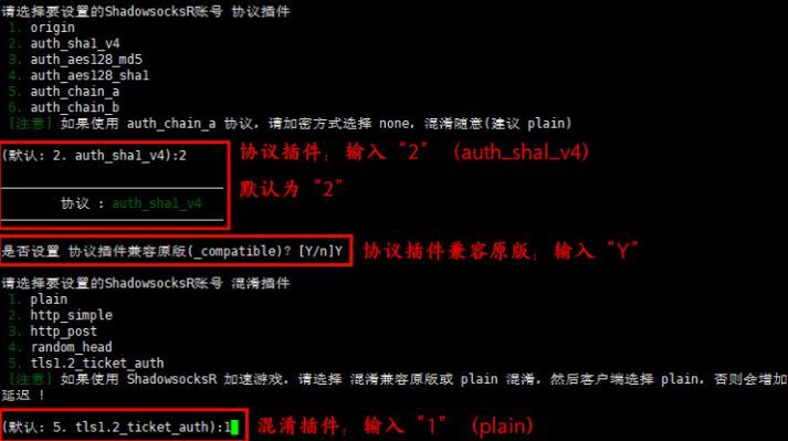 最新免费ssr节点,最新免费SSR节点，探索网络世界的无限可能，最新免费SSR节点，探索网络世界的无限精彩