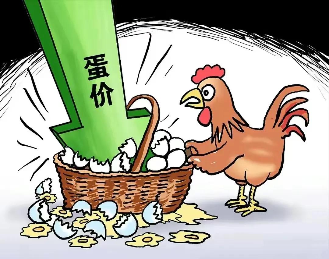 山东大姜最新价格,山东大姜最新价格动态及市场洞察，山东大姜最新价格动态与市场洞察报告