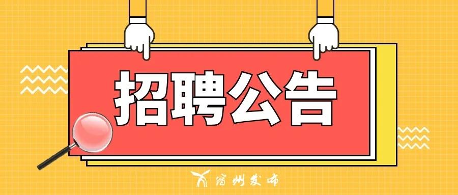 宿州信息网最新招聘,宿州信息网最新招聘，探寻职业发展的无限可能，宿州信息网最新招聘，探寻职业发展的无限机遇与潜力