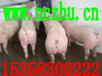 易舒洁免洗手消毒液 第13页